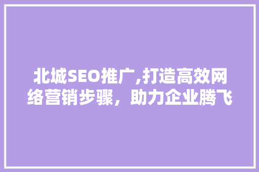 北城SEO推广,打造高效网络营销步骤，助力企业腾飞
