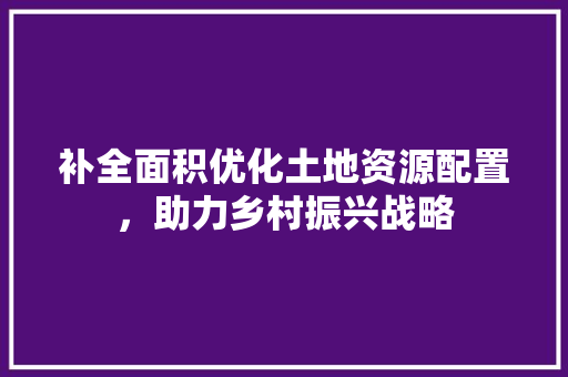补全面积优化土地资源配置，助力乡村振兴战略