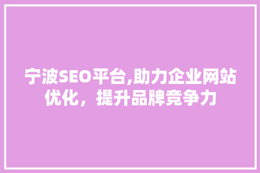 宁波SEO平台,助力企业网站优化，提升品牌竞争力