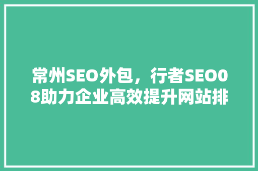 常州SEO外包，行者SEO08助力企业高效提升网站排名