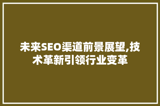 未来SEO渠道前景展望,技术革新引领行业变革