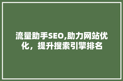 流量助手SEO,助力网站优化，提升搜索引擎排名