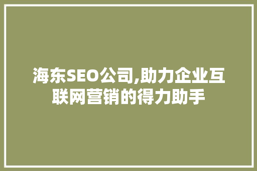 海东SEO公司,助力企业互联网营销的得力助手