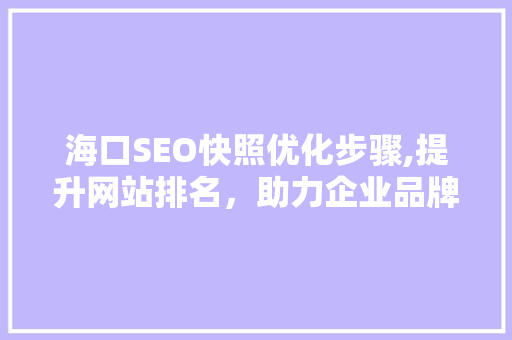 海口SEO快照优化步骤,提升网站排名，助力企业品牌发展