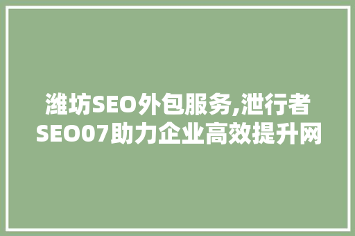 潍坊SEO外包服务,泄行者SEO07助力企业高效提升网站排名