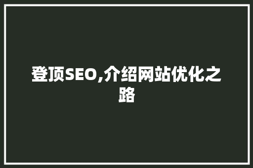 登顶SEO,介绍网站优化之路