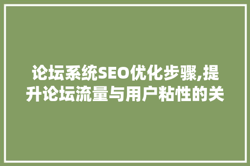 论坛系统SEO优化步骤,提升论坛流量与用户粘性的关键之路