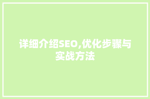 详细介绍SEO,优化步骤与实战方法
