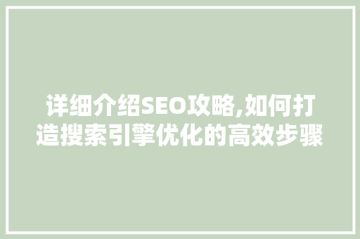 详细介绍SEO攻略,如何打造搜索引擎优化的高效步骤