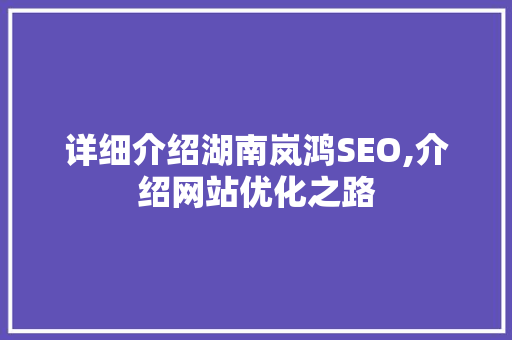 详细介绍湖南岚鸿SEO,介绍网站优化之路