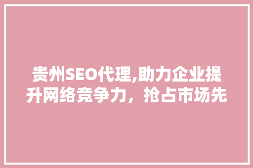 贵州SEO代理,助力企业提升网络竞争力，抢占市场先机  第1张