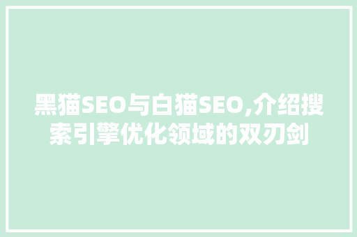 黑猫SEO与白猫SEO,介绍搜索引擎优化领域的双刃剑