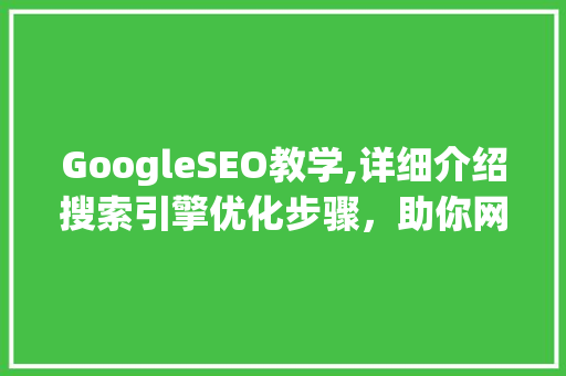 GoogleSEO教学,详细介绍搜索引擎优化步骤，助你网站排名起飞！  第1张