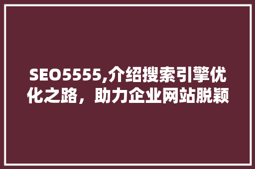SEO5555,介绍搜索引擎优化之路，助力企业网站脱颖而出