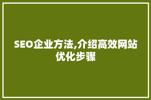 SEO企业方法,介绍高效网站优化步骤