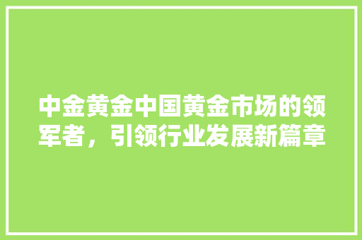 中金黄金中国黄金市场的领军者，引领行业发展新篇章