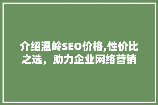 介绍温岭SEO价格,性价比之选，助力企业网络营销