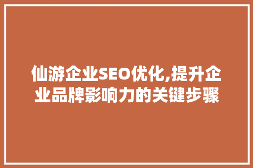 仙游企业SEO优化,提升企业品牌影响力的关键步骤