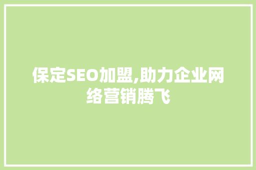 保定SEO加盟,助力企业网络营销腾飞