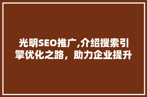 光明SEO推广,介绍搜索引擎优化之路，助力企业提升网络影响力