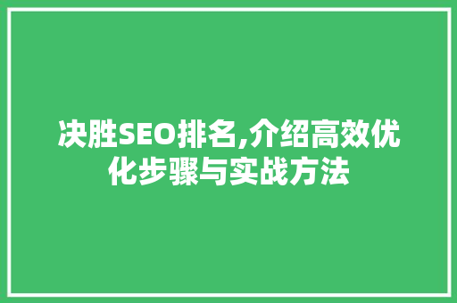 决胜SEO排名,介绍高效优化步骤与实战方法