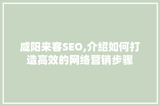 咸阳来客SEO,介绍如何打造高效的网络营销步骤