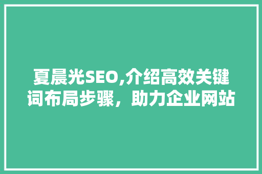 夏晨光SEO,介绍高效关键词布局步骤，助力企业网站优化