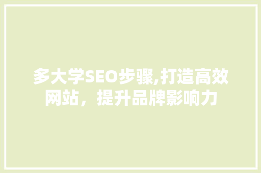 多大学SEO步骤,打造高效网站，提升品牌影响力  第1张
