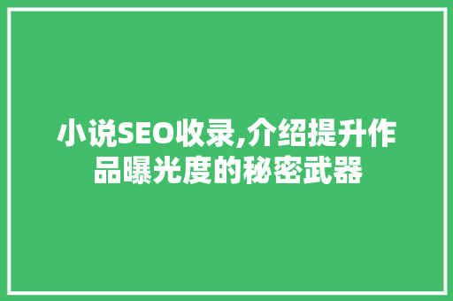 小说SEO收录,介绍提升作品曝光度的秘密武器