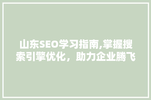 山东SEO学习指南,掌握搜索引擎优化，助力企业腾飞