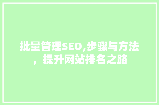 批量管理SEO,步骤与方法，提升网站排名之路