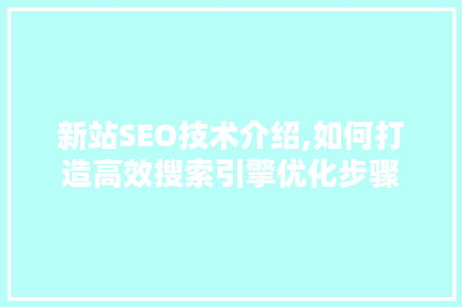 新站SEO技术介绍,如何打造高效搜索引擎优化步骤