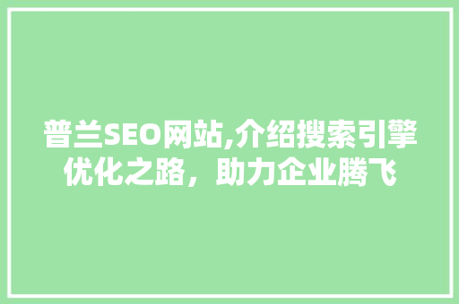 普兰SEO网站,介绍搜索引擎优化之路，助力企业腾飞