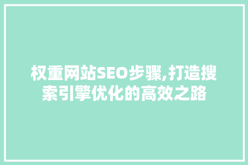 权重网站SEO步骤,打造搜索引擎优化的高效之路