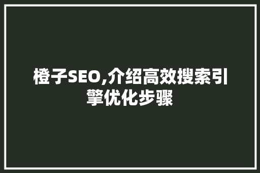 橙子SEO,介绍高效搜索引擎优化步骤