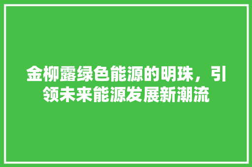 金柳露绿色能源的明珠，引领未来能源发展新潮流