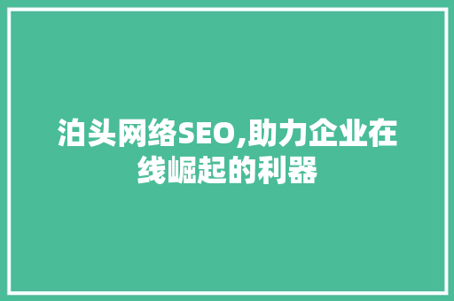 泊头网络SEO,助力企业在线崛起的利器  第1张