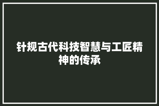 针规古代科技智慧与工匠精神的传承