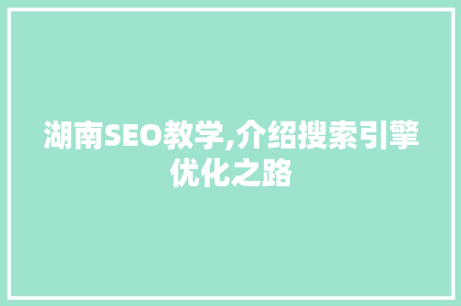 湖南SEO教学,介绍搜索引擎优化之路