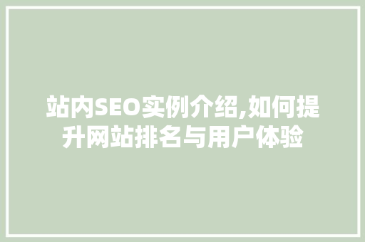 站内SEO实例介绍,如何提升网站排名与用户体验