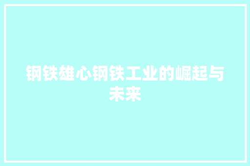 钢铁雄心钢铁工业的崛起与未来
