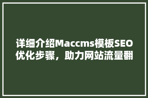 详细介绍Maccms模板SEO优化步骤，助力网站流量翻倍