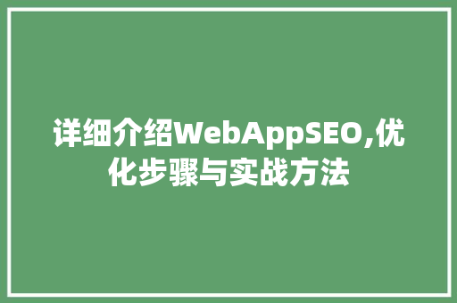 详细介绍WebAppSEO,优化步骤与实战方法