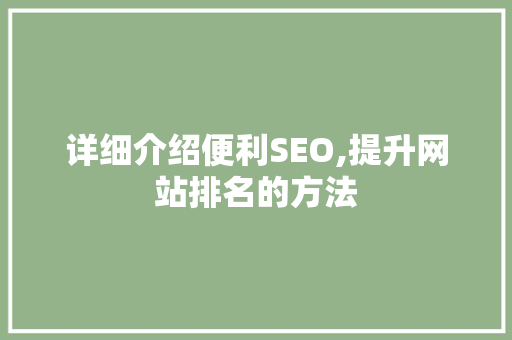 详细介绍便利SEO,提升网站排名的方法
