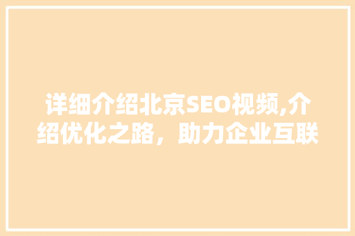 详细介绍北京SEO视频,介绍优化之路，助力企业互联网营销