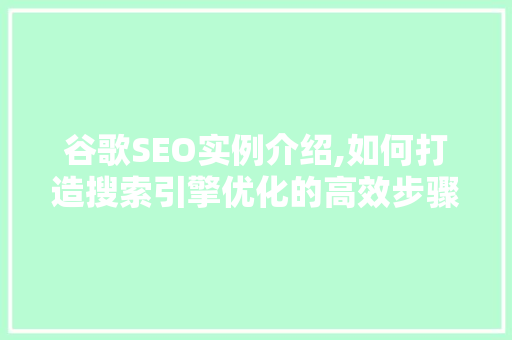 谷歌SEO实例介绍,如何打造搜索引擎优化的高效步骤  第1张