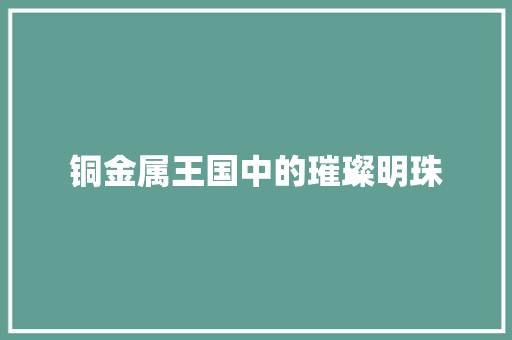 铜金属王国中的璀璨明珠