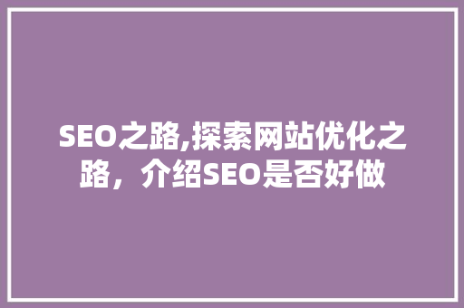 SEO之路,探索网站优化之路，介绍SEO是否好做