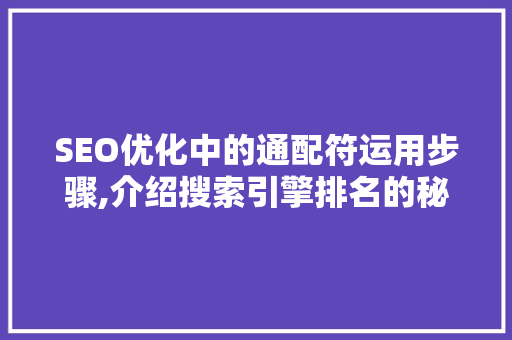 SEO优化中的通配符运用步骤,介绍搜索引擎排名的秘密武器