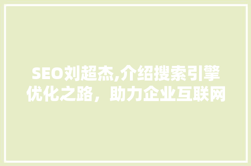 SEO刘超杰,介绍搜索引擎优化之路，助力企业互联网营销